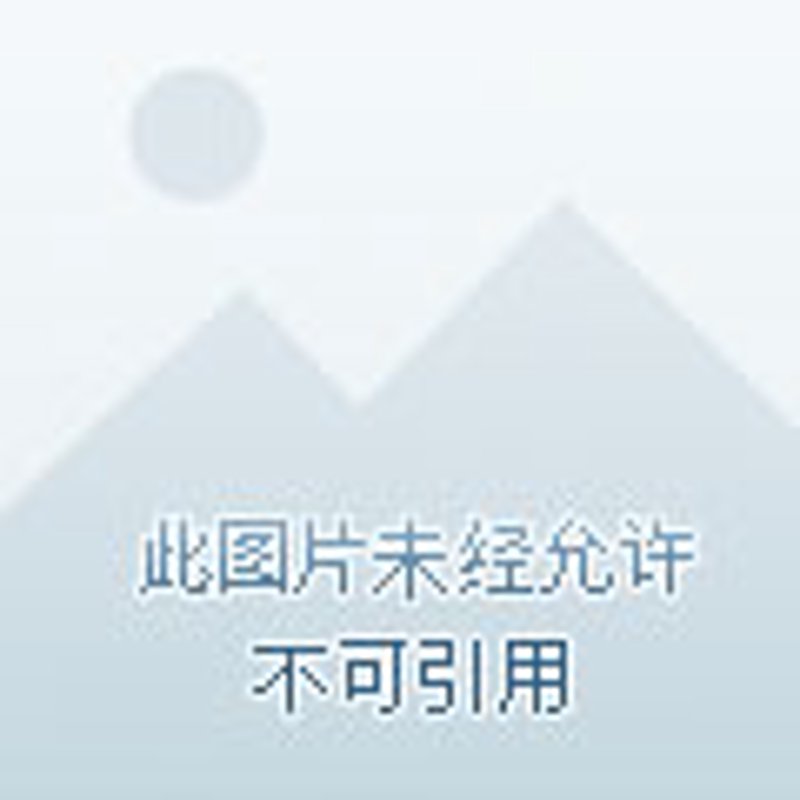 探寻新乡地道美味，带你吃遍街头巷尾